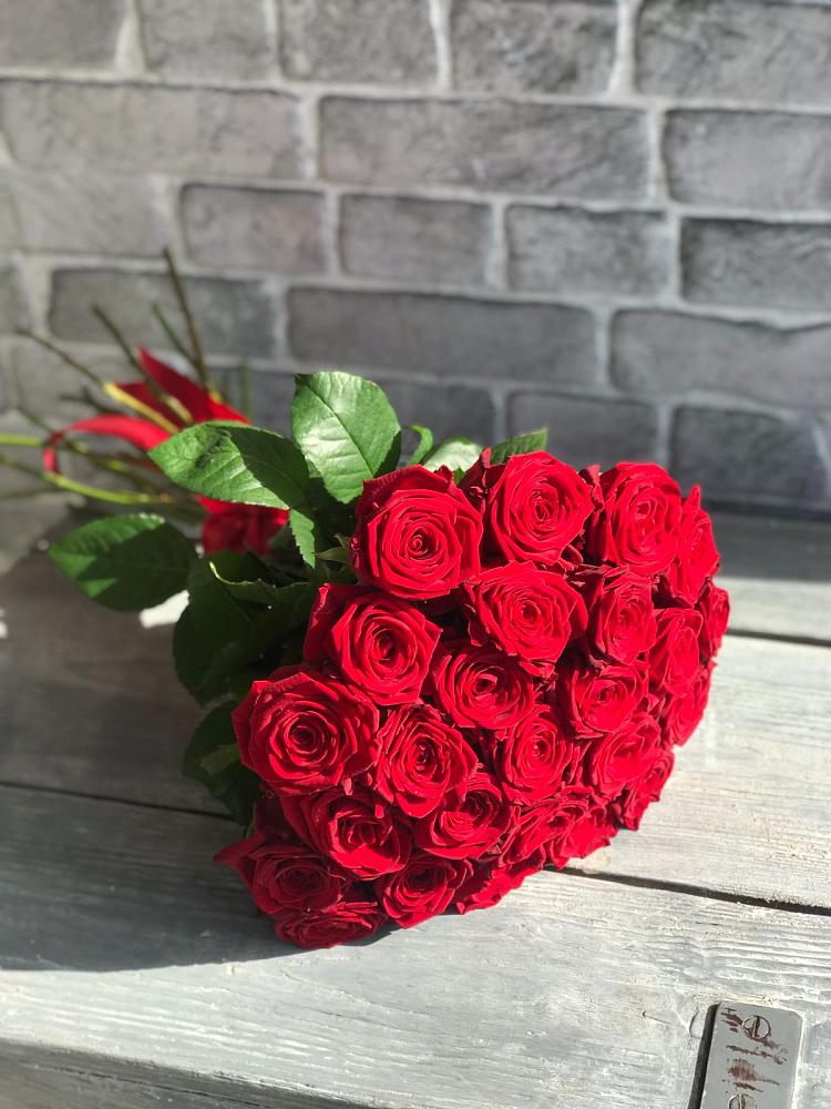Букет Красные розы Фридом в Суворовское Краснодарский край