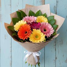 Букет цветов из:  Герберы #REPLACE_PRED# Суворовское Краснодарский край