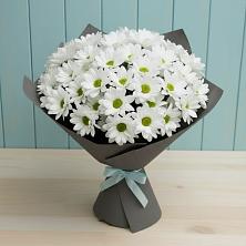 Букет цветов из:  Хризантемы в Суворовское Краснодарский край