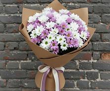 Букет цветов из:  Хризантемы #REPLACE_PRED# Суворовское Краснодарский край