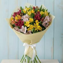 Букет цветов из:  Альстромерии в Суворовское Краснодарский край