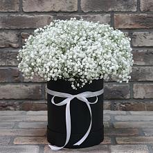 Цветочная композиция из Гипсофила в шляпной коробке в Суворовское Краснодарский край