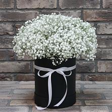 Цветочная композиция из Гипсофила в шляпной коробке в Суворовское Краснодарский край