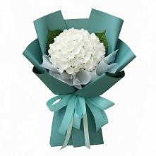 Букет цветов из:  Гортензия в Суворовское Краснодарский край